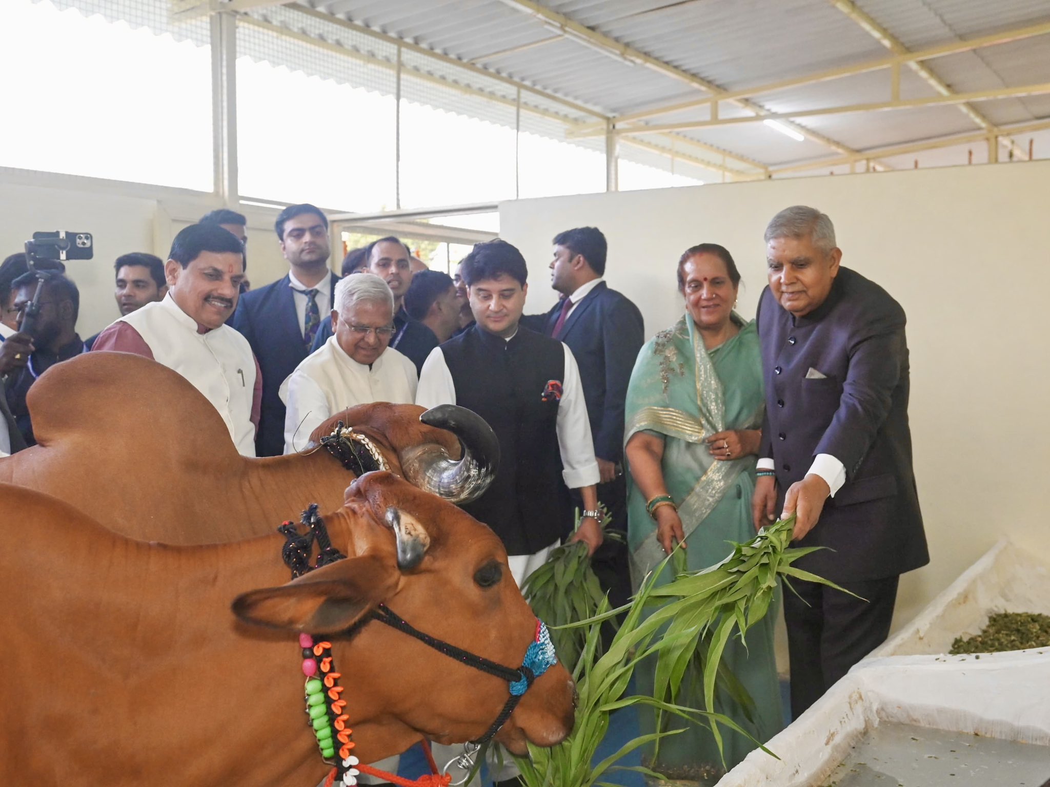 The Vice-President, Shri Jagdeep Dhankhar inaugurating 'Model Gaushala and Natural Farming Unit' at Rajmata Vijayraje Scindia Krishi Vishwavidyalaya in Gwalior, Madhya Pradesh on May 4, 2025.