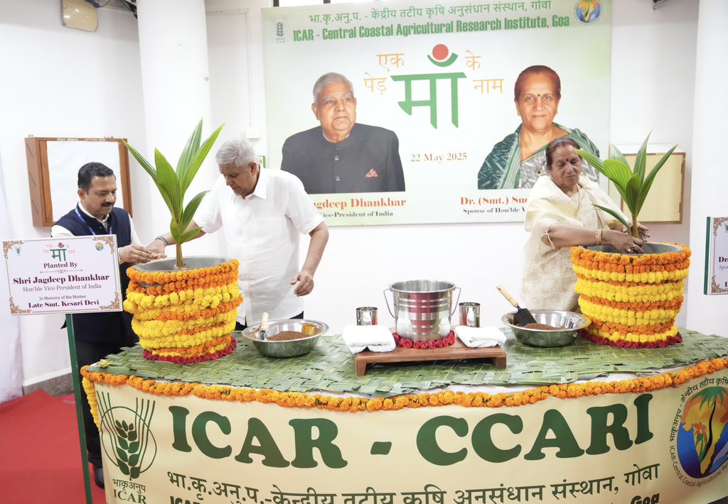 The Vice-President, Shri Jagdeep Dhankhar and Dr. Sudesh Dhankhar planting saplings at the premises of ICAR-CCARI in Goa on May 22, 2025. 